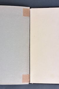 IMG 7520