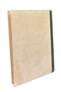 IMG 7684