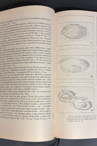 IMG 9466