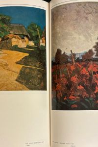 IMG 0297