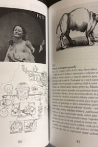 IMG 0345