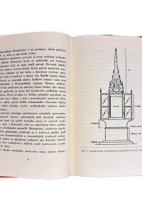 IMG 2727