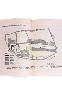 IMG 2751