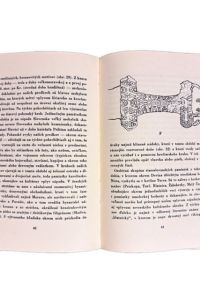 IMG 2761