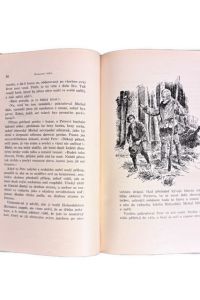 IMG 3534