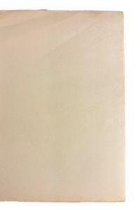 IMG 3684