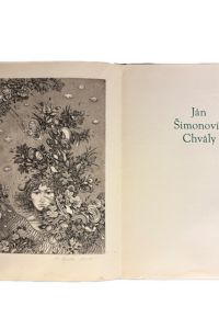 IMG 4584