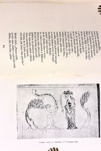 IMG 6372