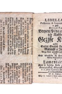 IMG 6421