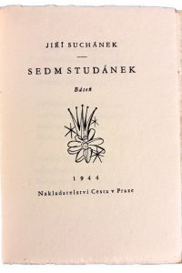IMG 6556
