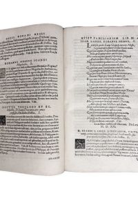 IMG 0718