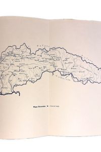 IMG 1931