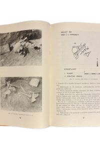 IMG 3068