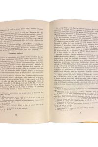 IMG 3069