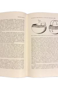 IMG 3063