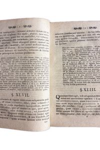 IMG 2888