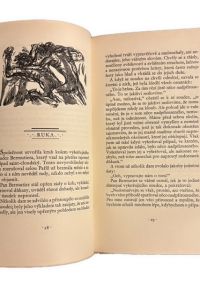 IMG 3696