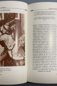 IMG 4354