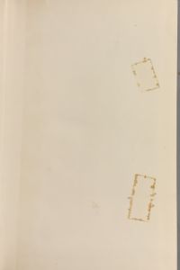 IMG 7506