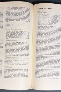 IMG 7429