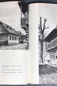 IMG 0497