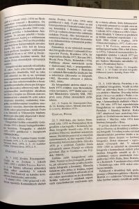 IMG 9291
