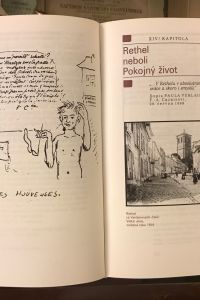 IMG 0573