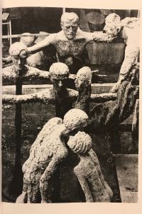IMG 0624