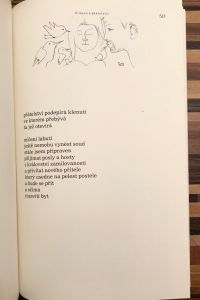 IMG 2568