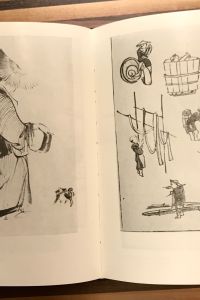 IMG 5779