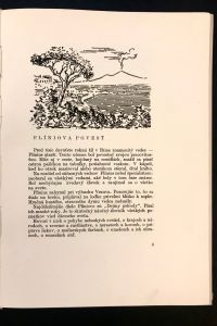 IMG 3451