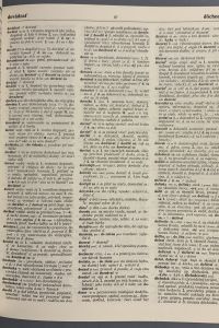 IMG 4419