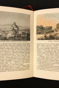 IMG 5778