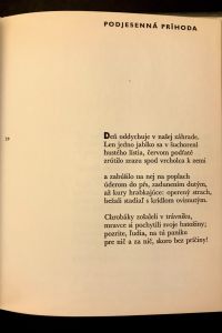 IMG 6502