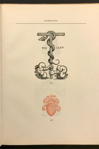 IMG 7262