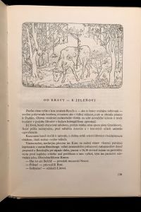 IMG 1635