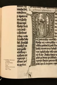 IMG 2601