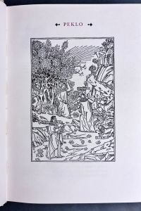 IMG 4673