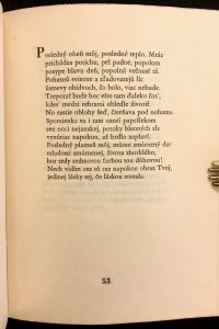 IMG 3794