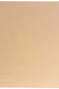 IMG 8250