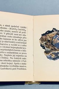 IMG 7565 1
