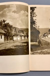 IMG 7581