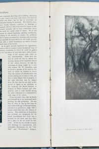 image23