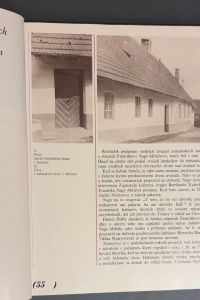 IMG 4771