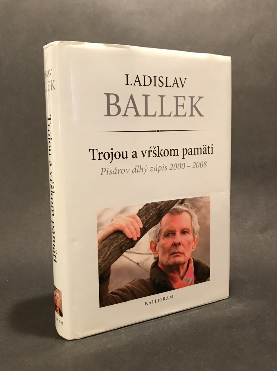  Trojou a vŕškom pamäti Pisárov dlhý zápis 2000 - 2008  D24EC385 0C49 467C B356 AB474A54E9A0