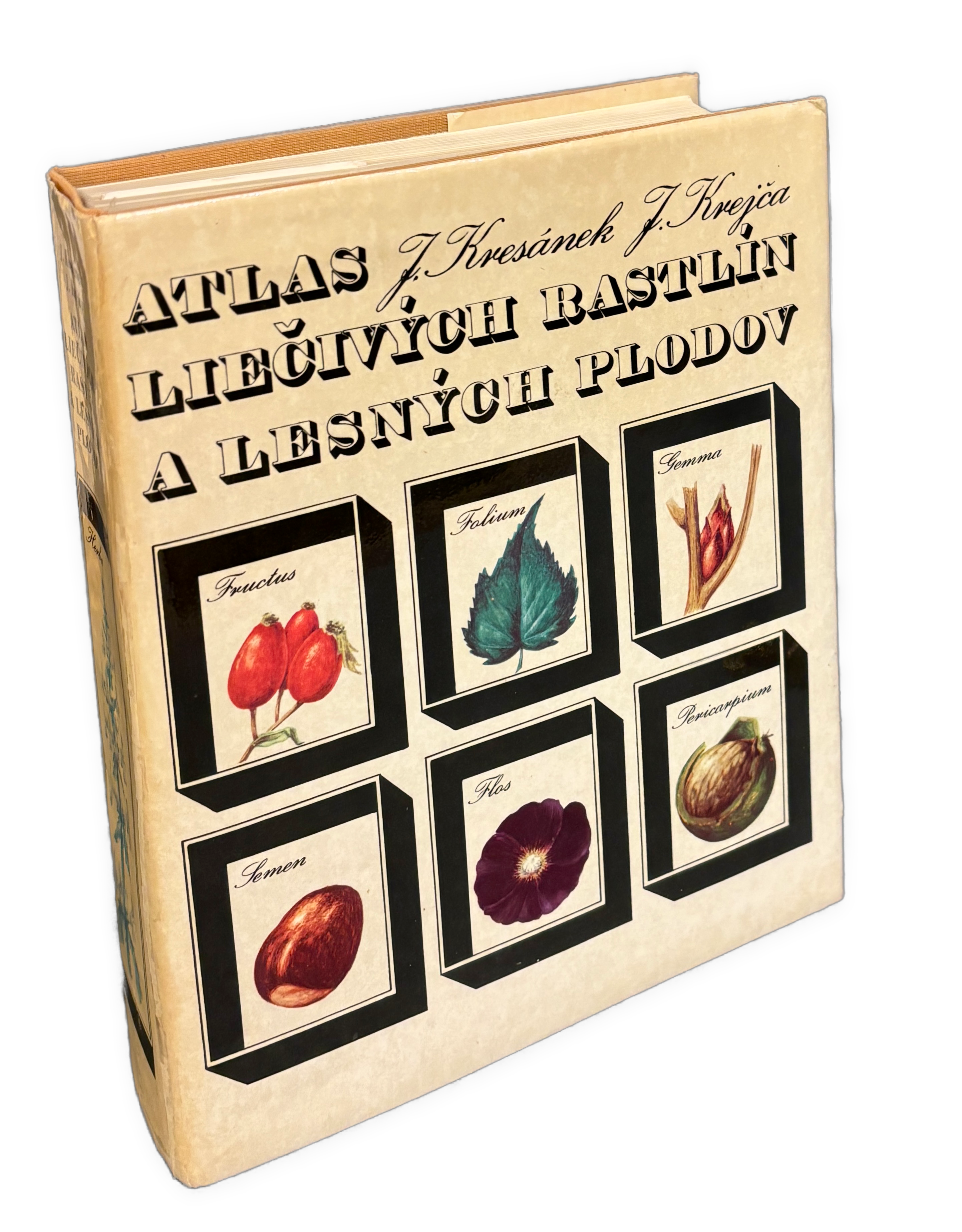 Atlas liečivých rastín a lesných plodov