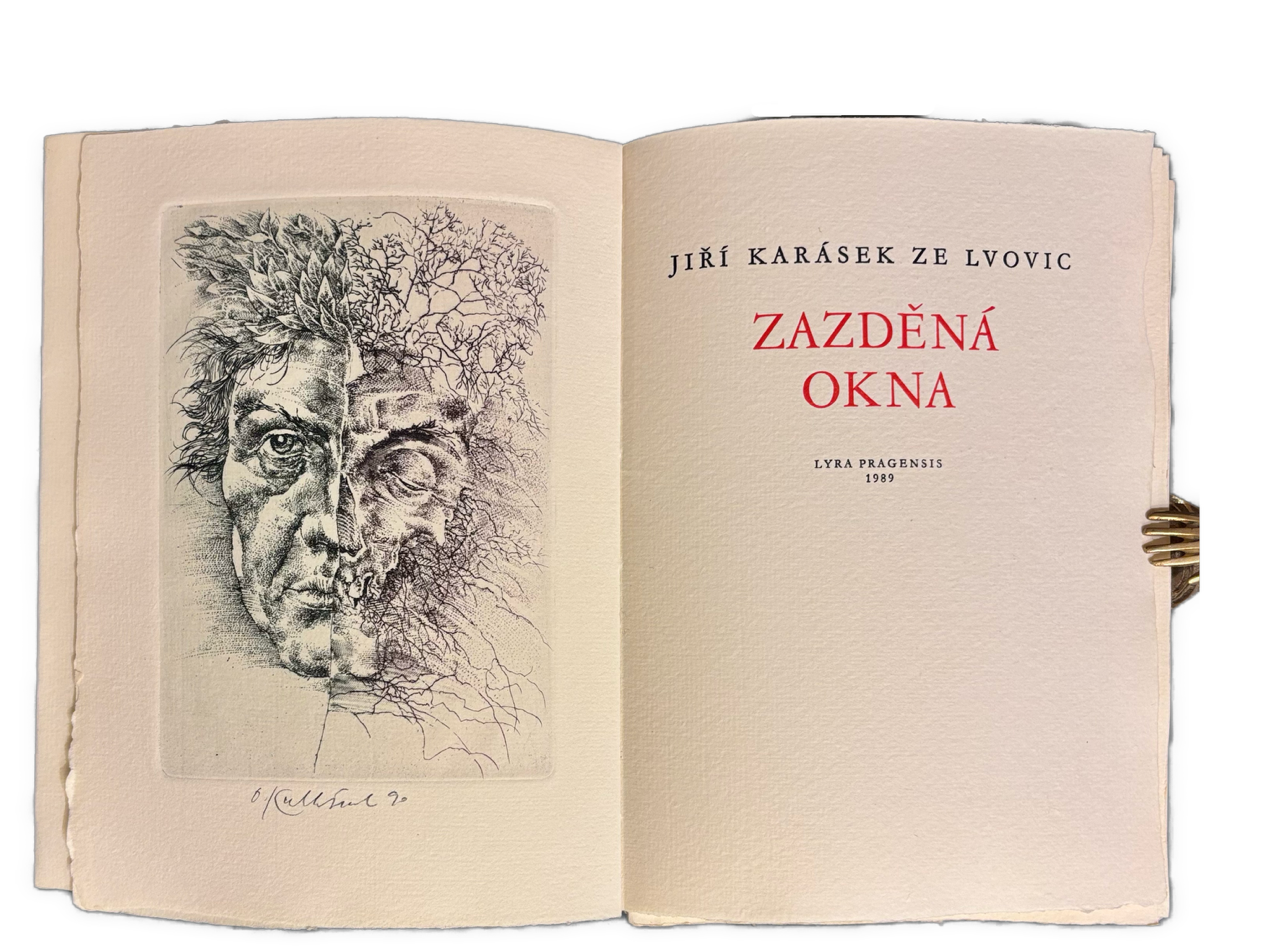 Zazděná okna. Výbor z poezie IMG 1883