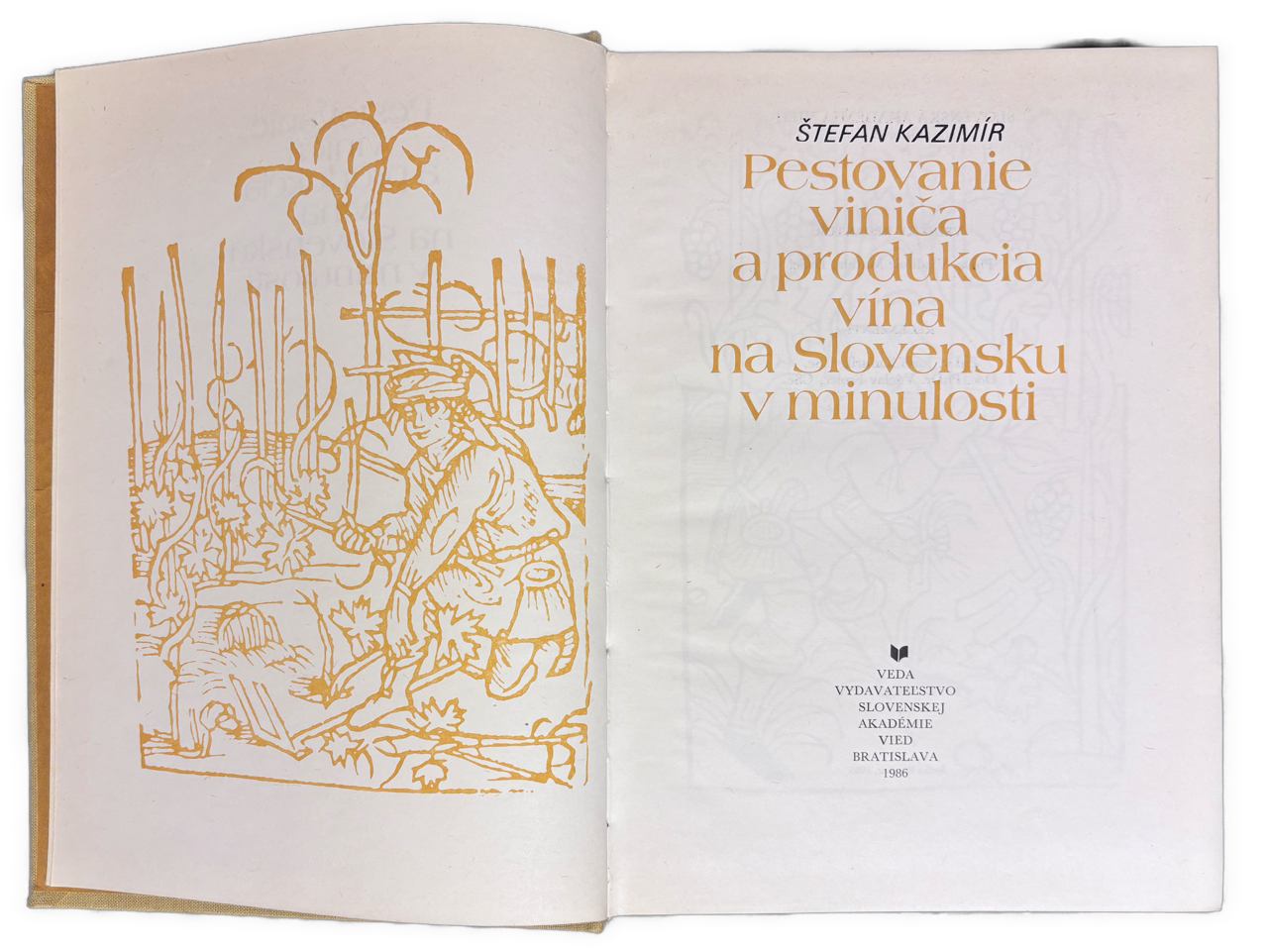 Pestovanie viniča a produkcia vína na Slovensku a v minulosti IMG 3726