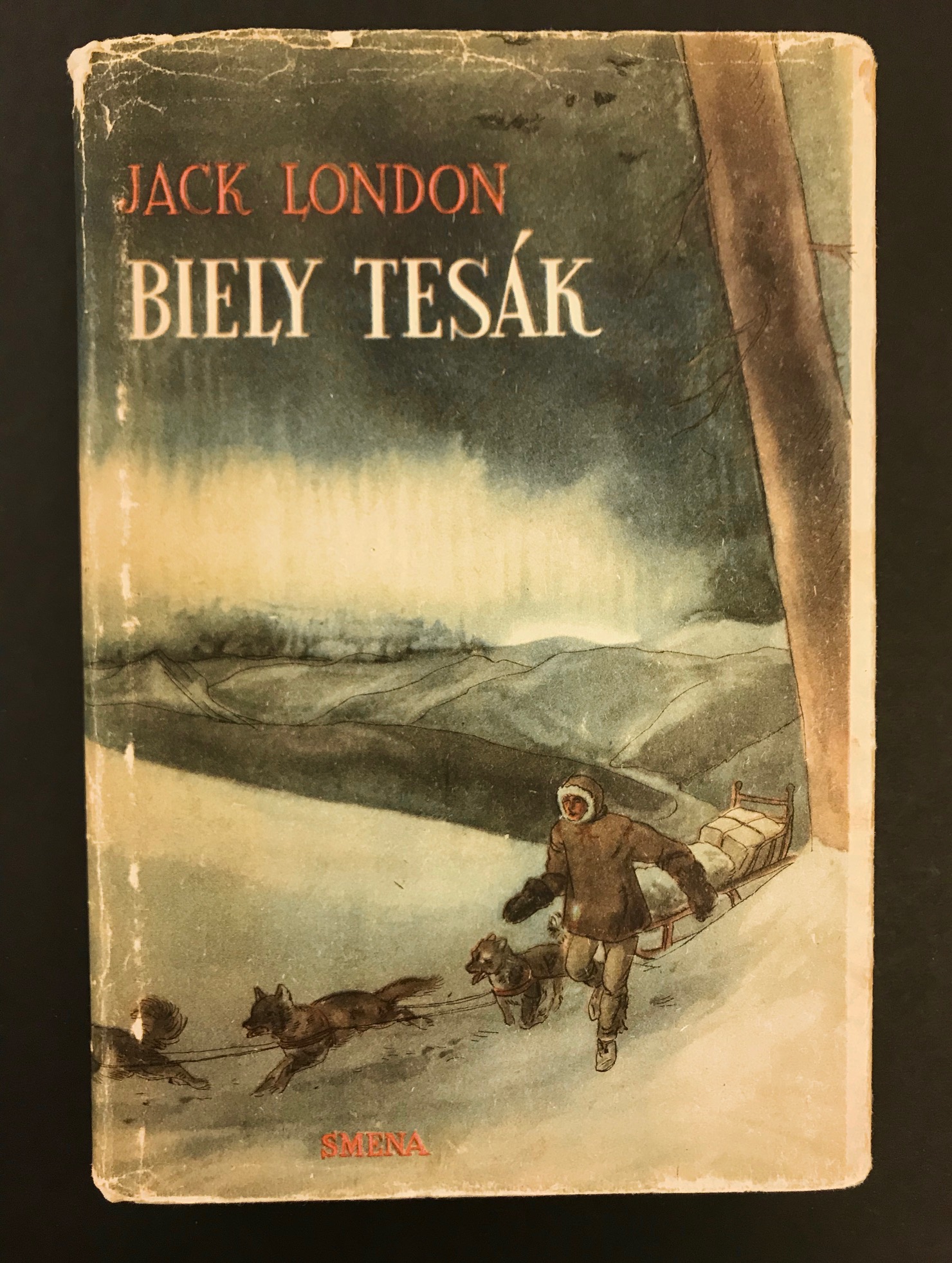 Biely tesák
