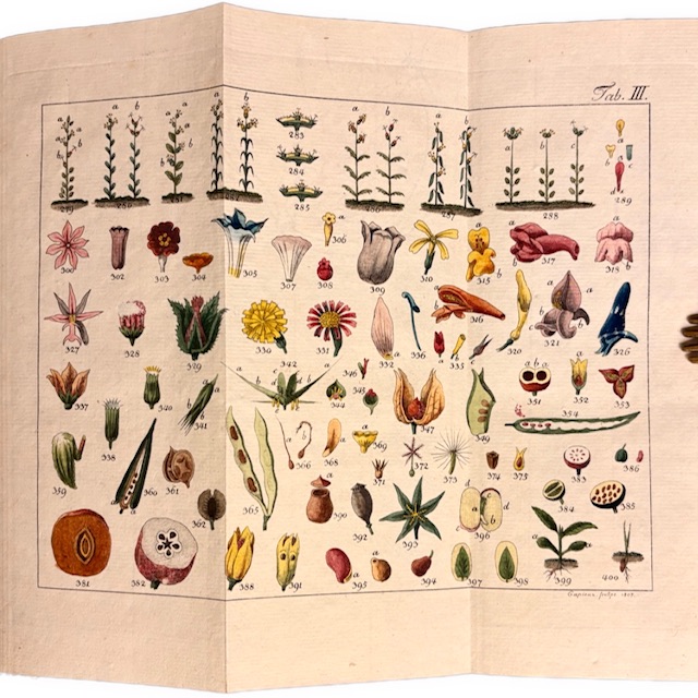 BOTANIKA - Versuch eines allgemeinen botanischen Handwörterbuchs